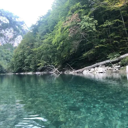 Drina Magic Stay-tara Rafting *